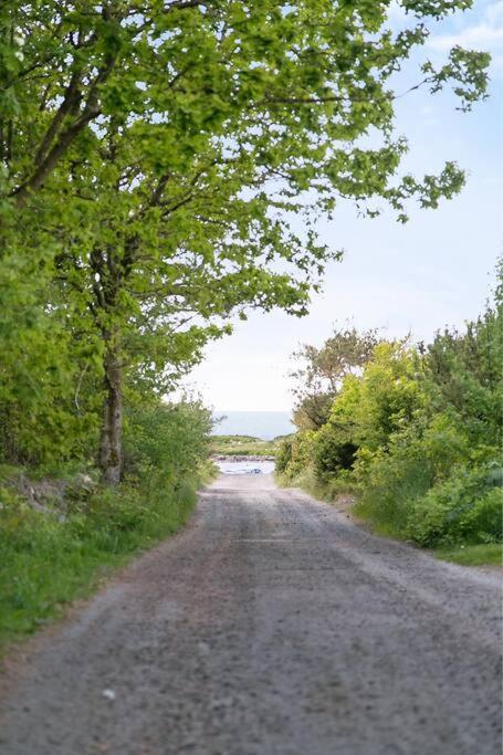 Cozy Cottage By The Sea South Of Varberg Traslovslage 외부 사진